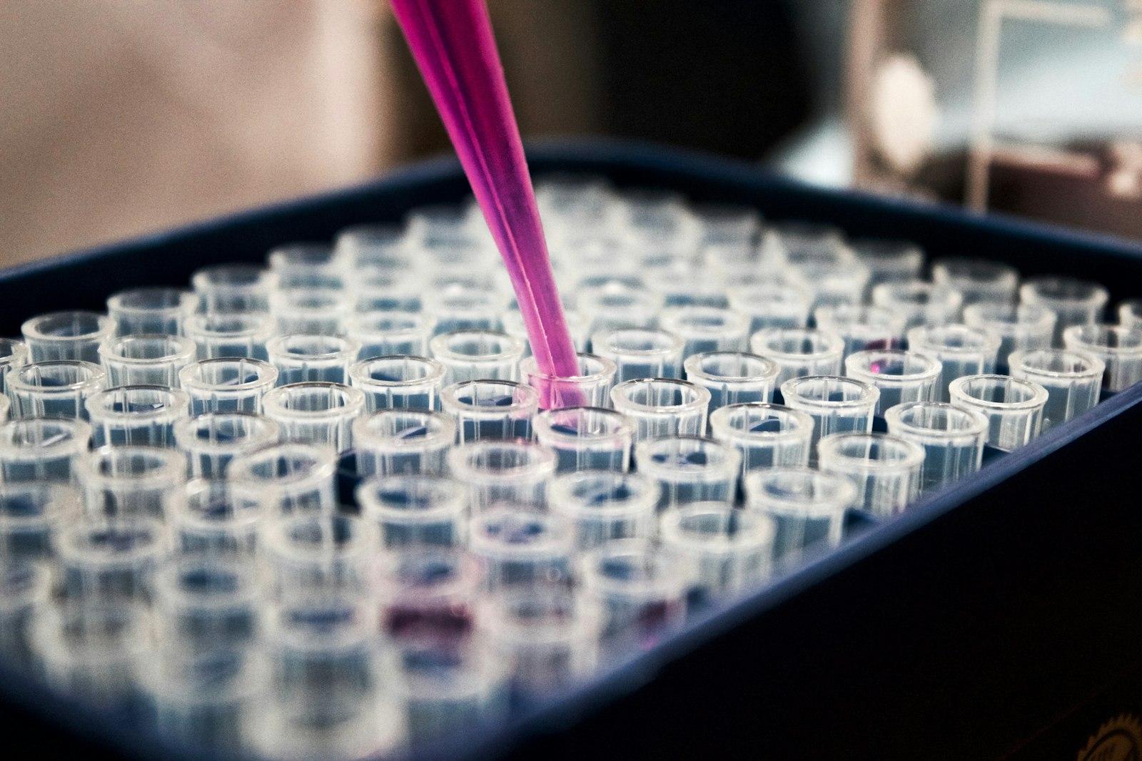 Rows of laboratory vials